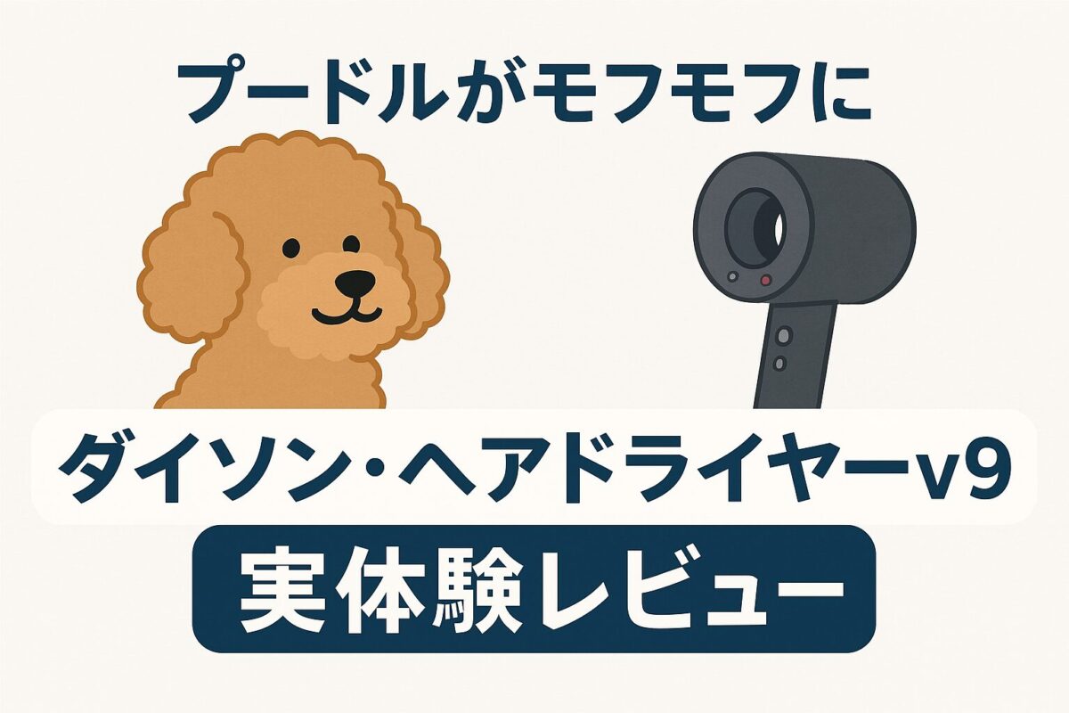 犬・猫がモフモフに「ダイソン・ヘアドライヤーv9」実体験レビュー&口コミ