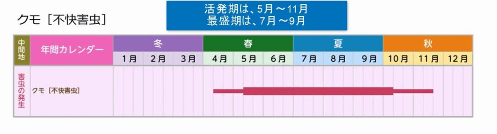 クモの活性化