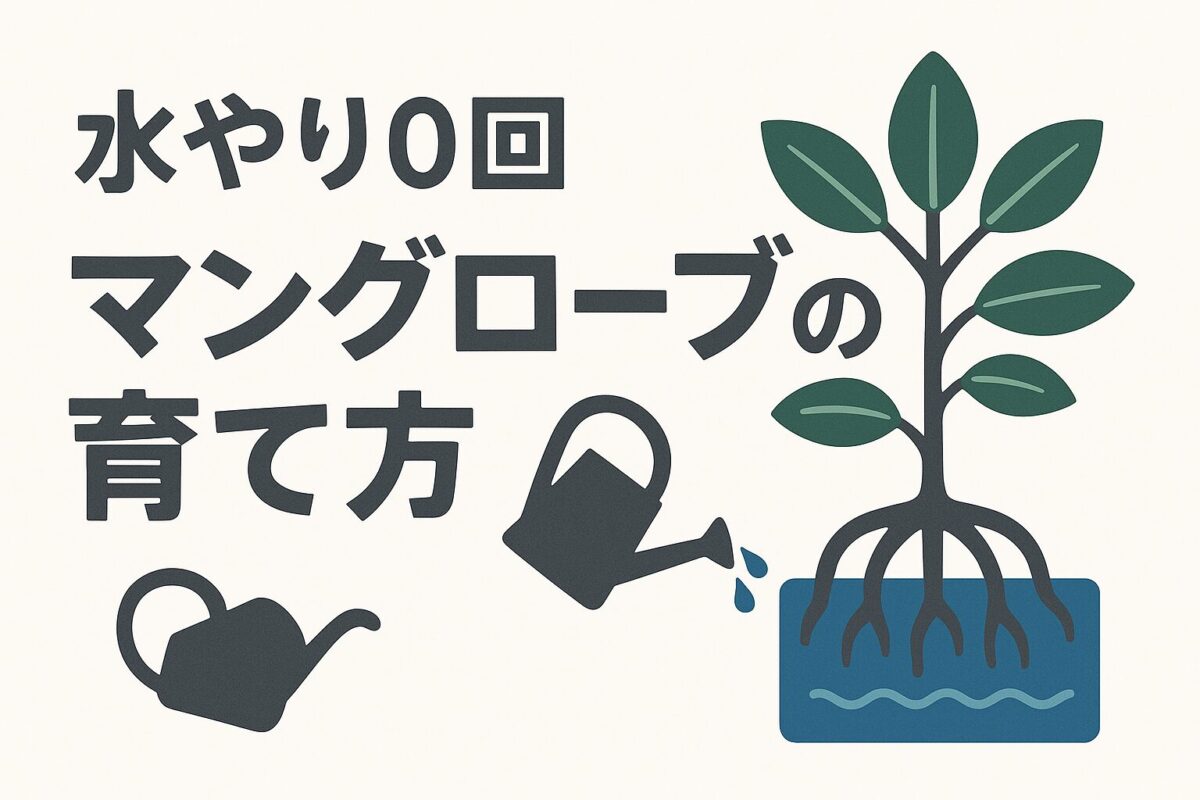 水やり0回「手のかからない観葉植物」室内マングローブの育て方